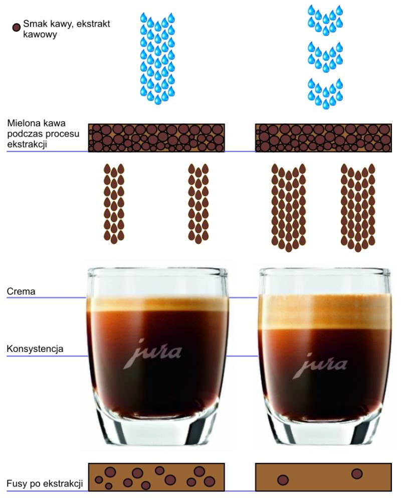 Ekspres do kawy Jura J6 system P.E.P.